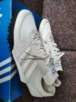 Adidas Marathon  . Tr.
