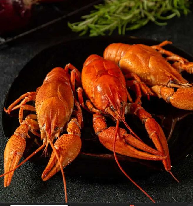 Раки охолоджені Мега-великі до 10 шт/кг (110+ грам/штука)