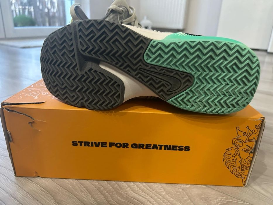 Nike lebron witness VII