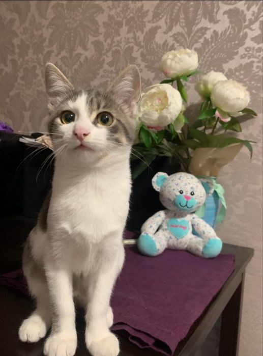 Маленька дівчинка шукає люблячу родину