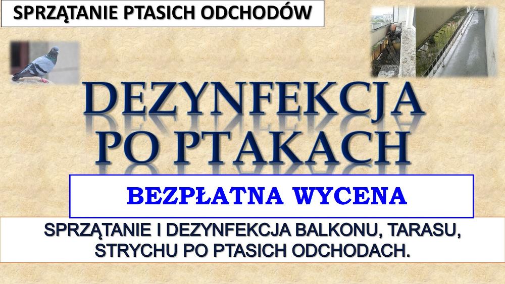 Sprzątanie balkonu, balkonów po gołebiach, cena, Wrocław, odchodów