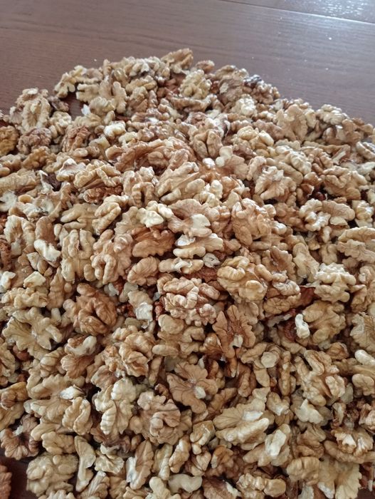 Orzechy włoskie  32 zł za kilo