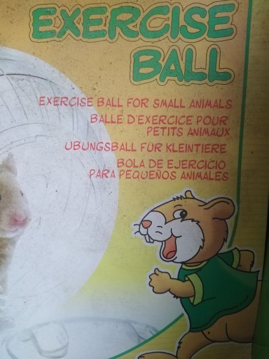 Para Hamster, ou animais pequenos!