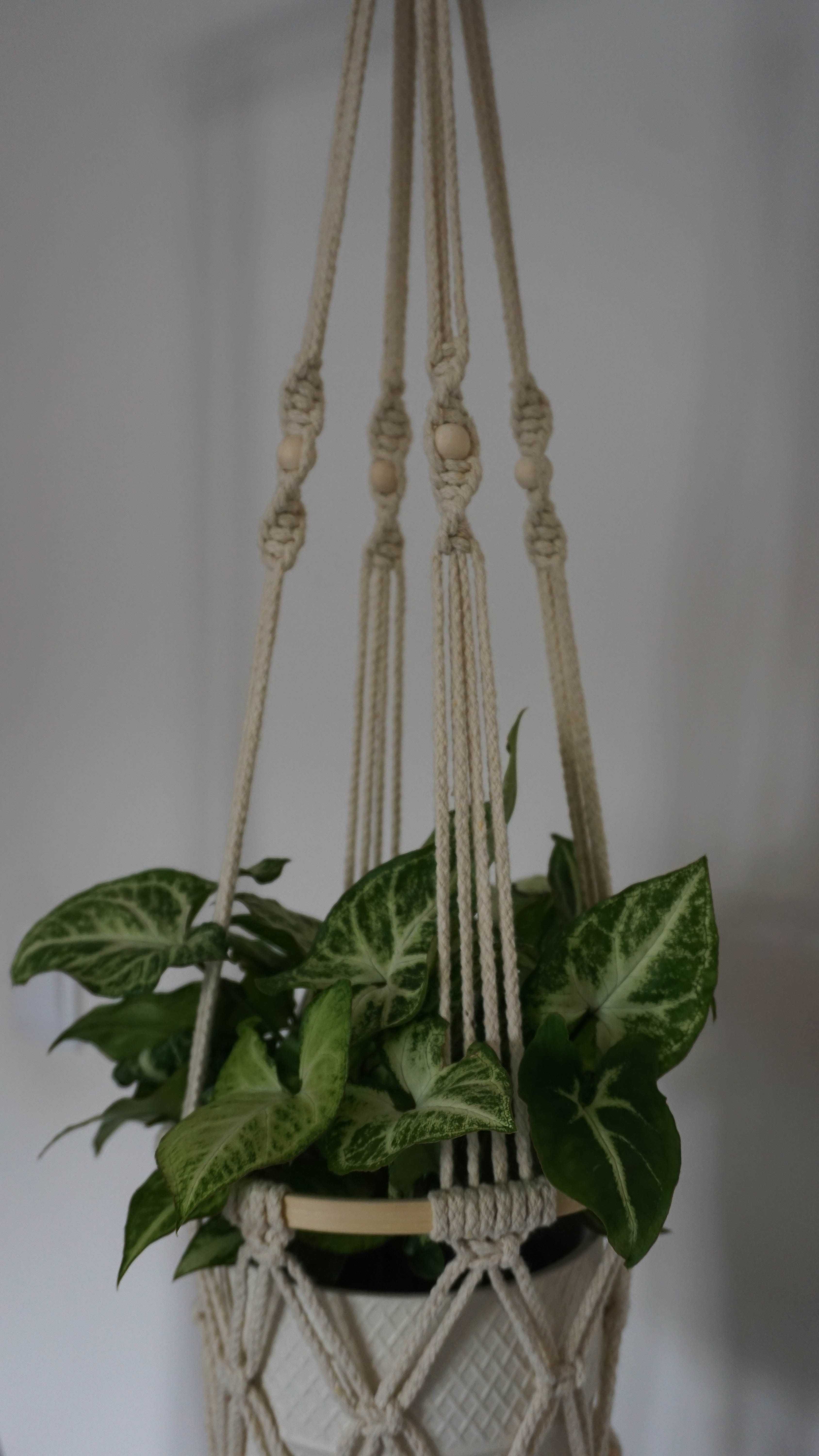 Suporte para plantas/fruteira em macramé