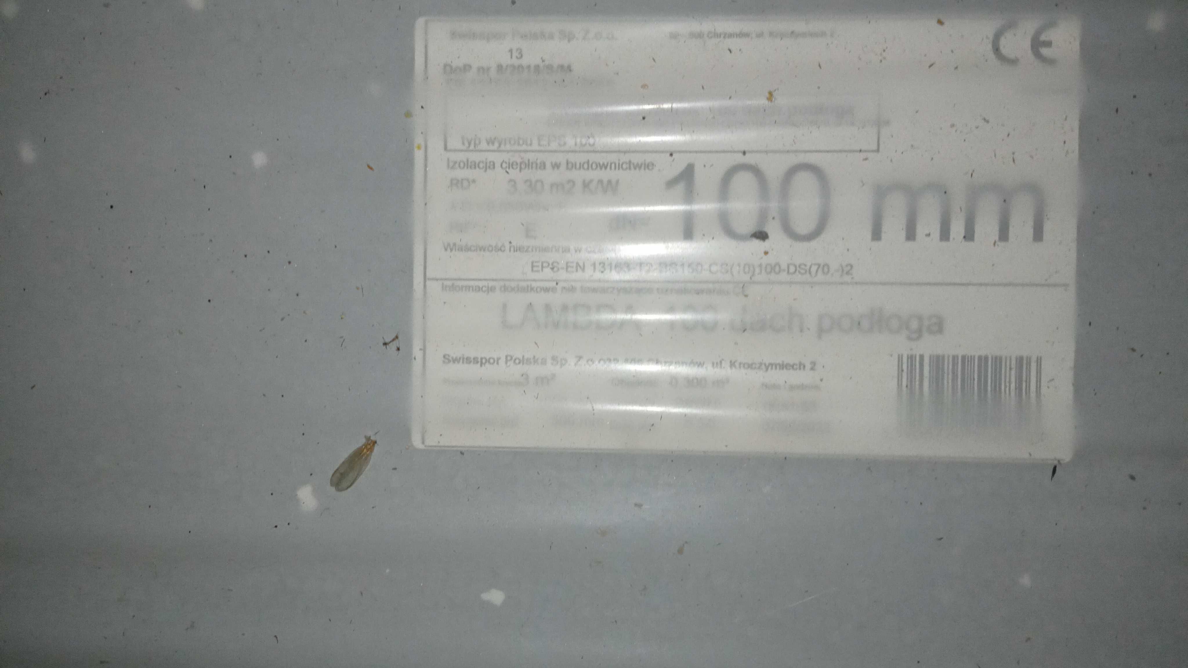 Swisspor lambda 100 dach podłoga grafitowy 0,03 10cm i 4cm