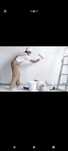 Pintor profissional