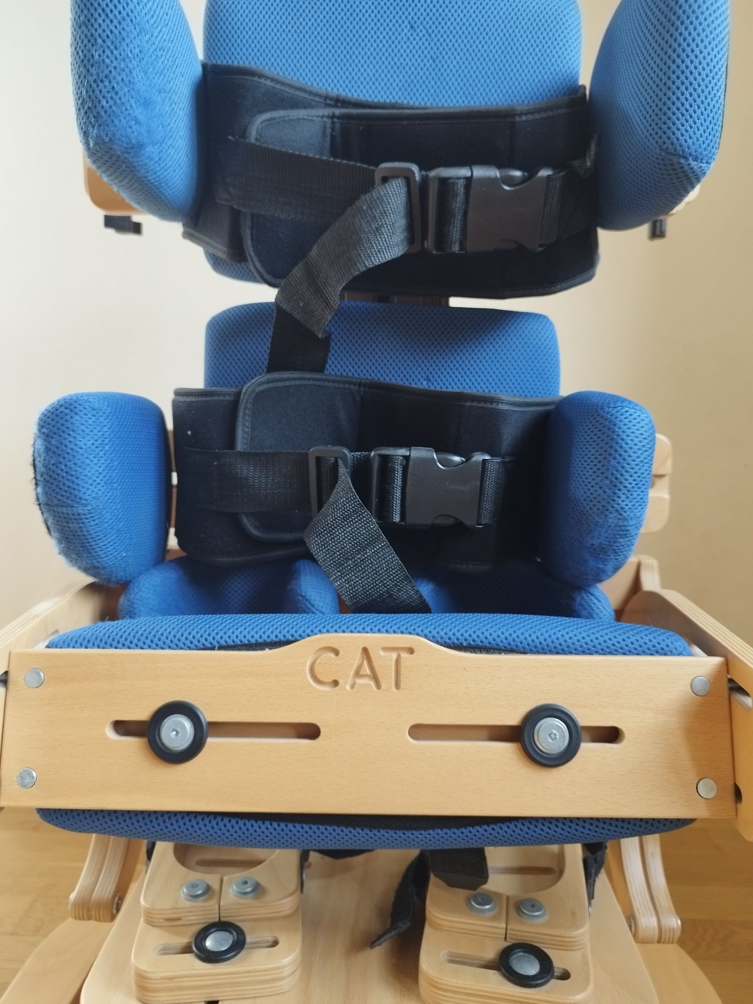Pionizator kotek 2