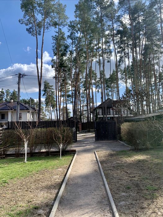 Продаж будинку в сосновому лісі | 120 м² на 8 сотках | Березенщина