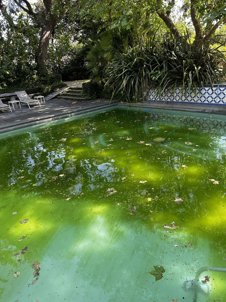 Limpeza e manutenção de Piscinas