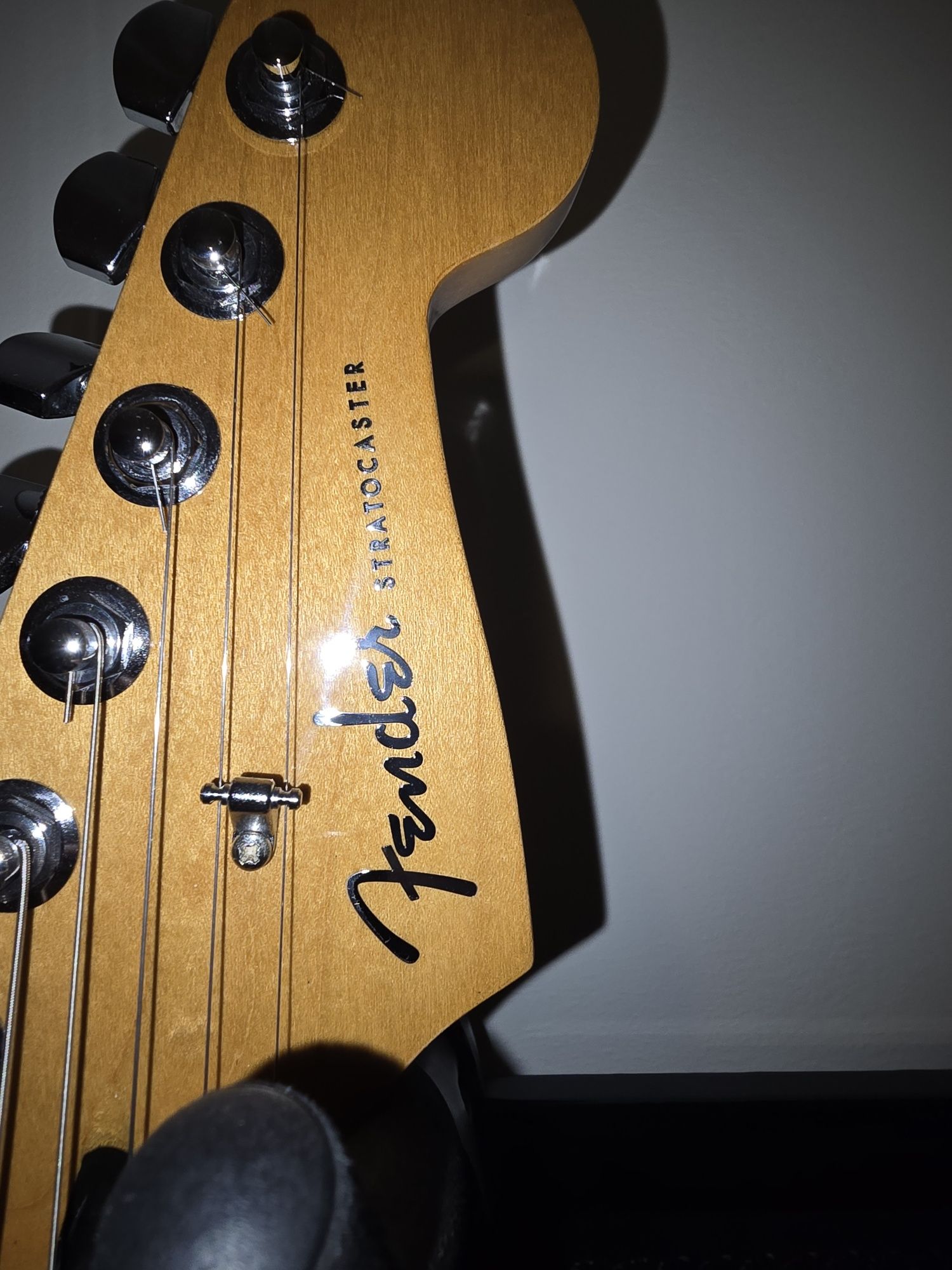 Fender Stratocaster Player Plus