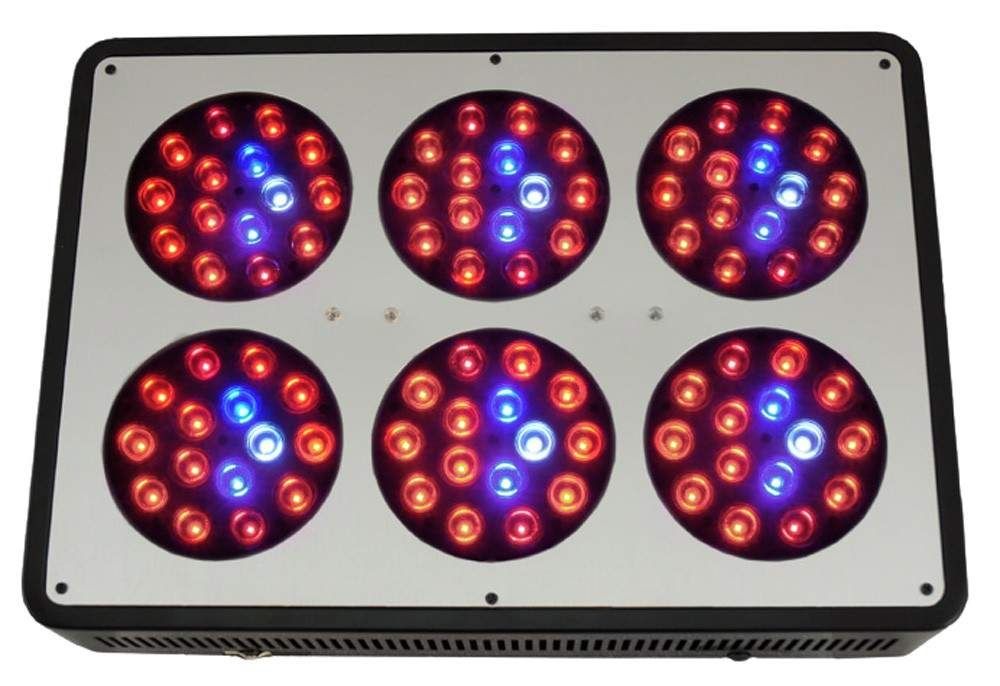 Lampa do uprawy roślin LED 270W BlackStar Chrome