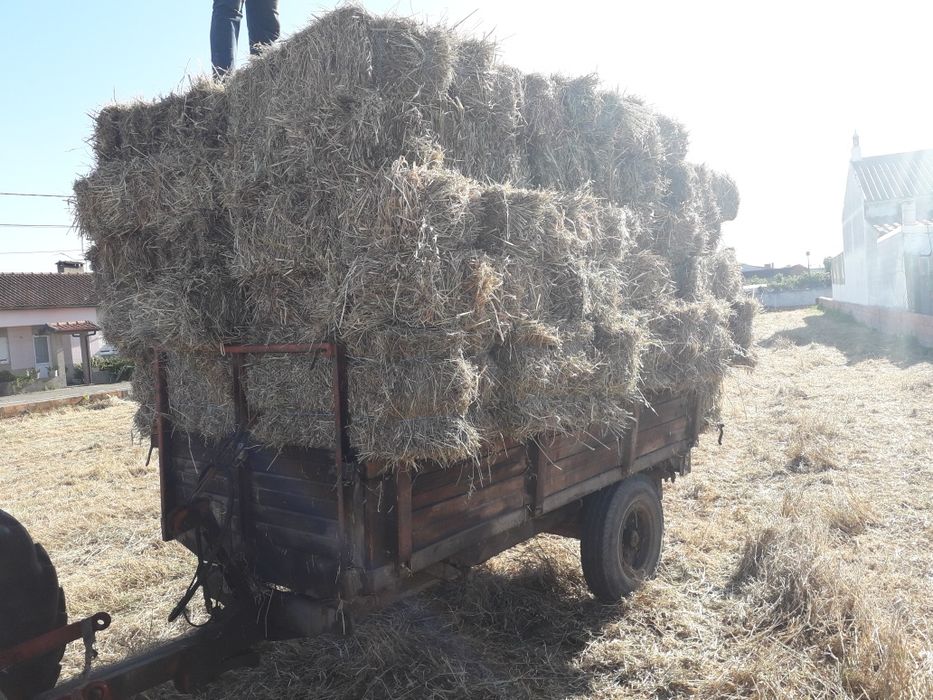 Fardos de palha azevem ,aveia,feno e outras variedades