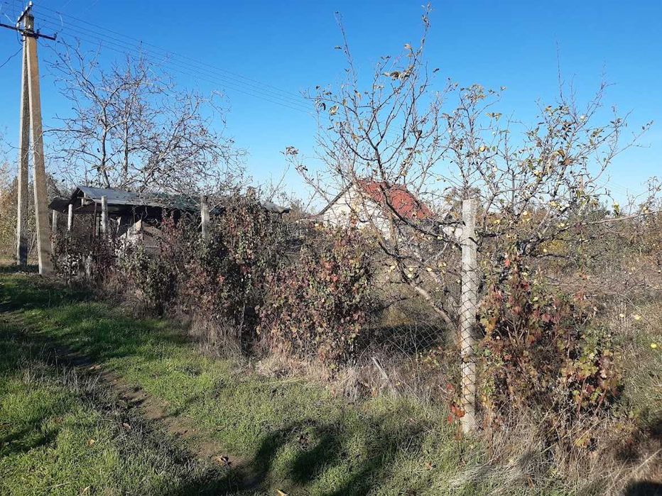 Продам / Здам в оренду ділянку 8 соток, СТ "Барвінок" (с. Себине) дача