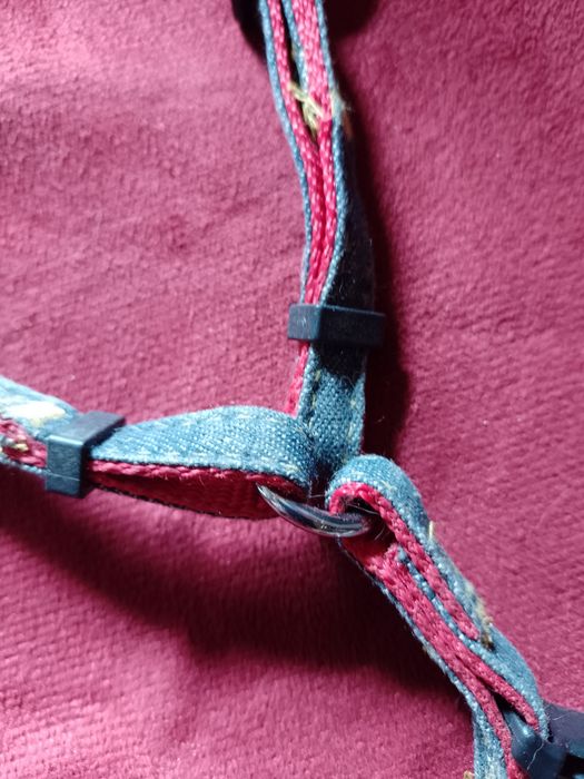 Повідець котику до 8 кг ваги тварини