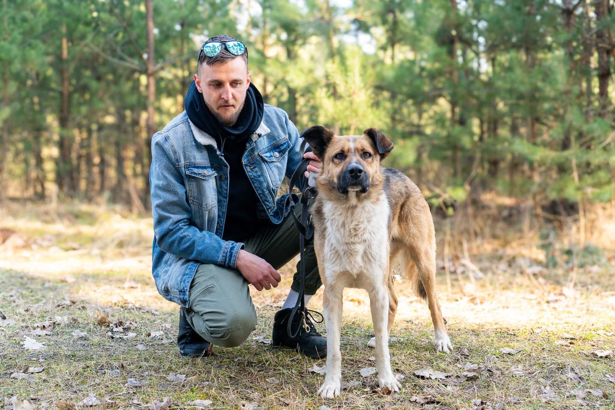 STARK - duży misiak zapewni Ci wsparcie i bezpieczeństwo