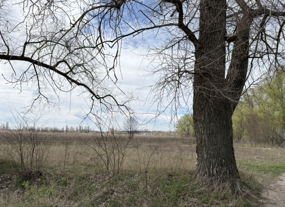 Земельна ділянка