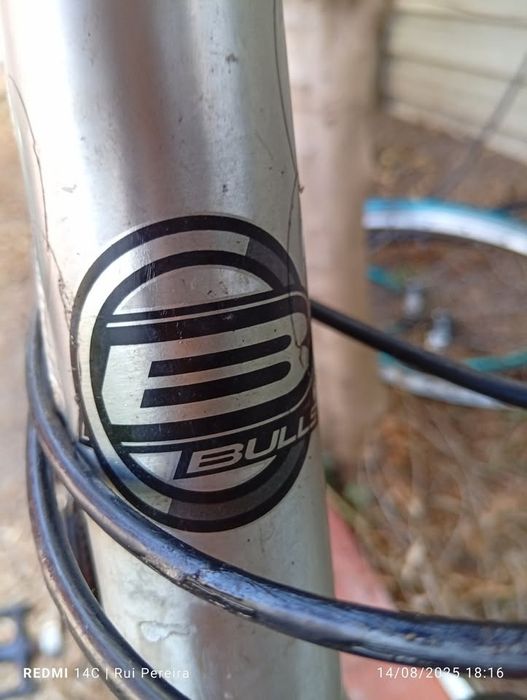 Bicicleta BULLS Aros Alexrims 26"