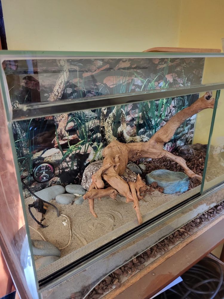 Terrarium z wyposażeniem