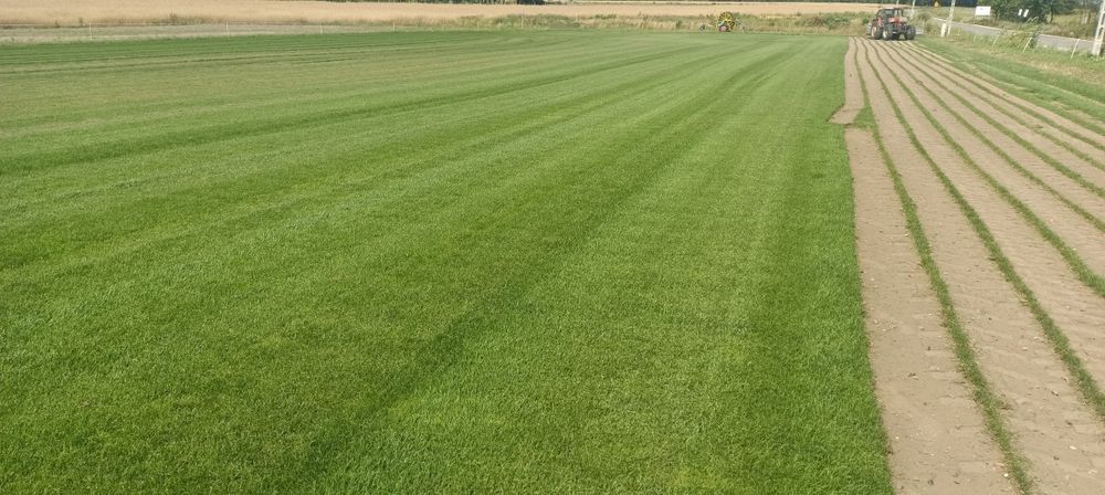 Trawa z rolki,trawnik z rolki