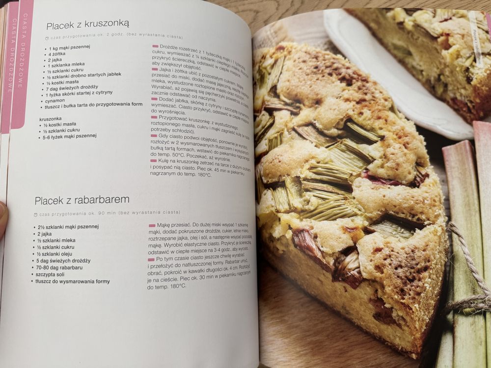 Ciasta ciastka ciasteczka Encyklopedia wypieków