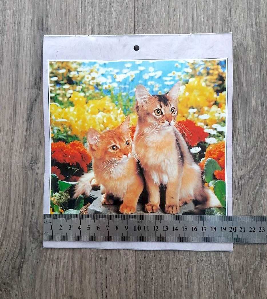 Детский набор 12 постеров котята 23х20см + мини-картинки для игр 12 шт