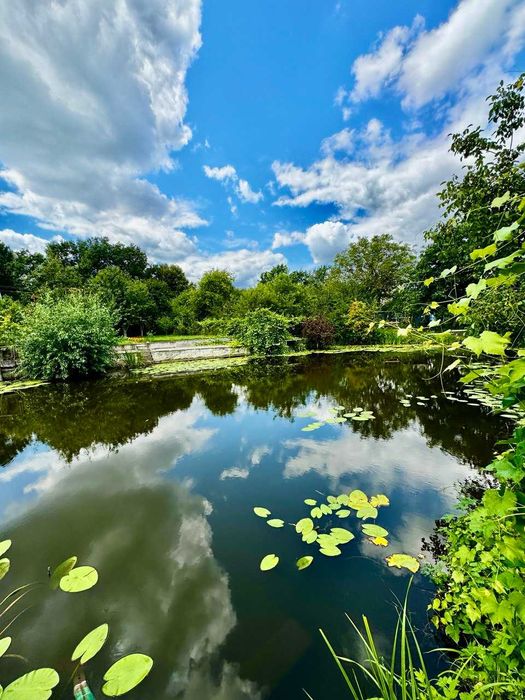 Затишна дача в СТ Лісова Поляна, Вознесенське A11