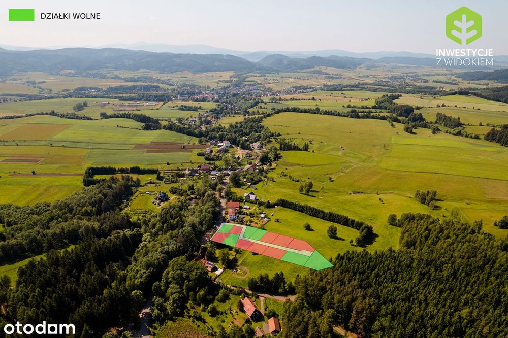 Działka w Górach Kamiennych przy asfalcie