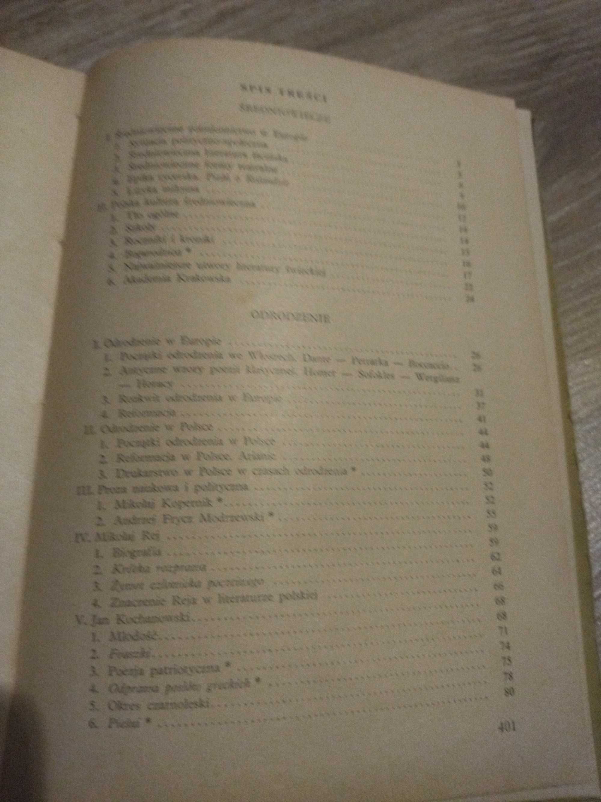 Książka literatura polska