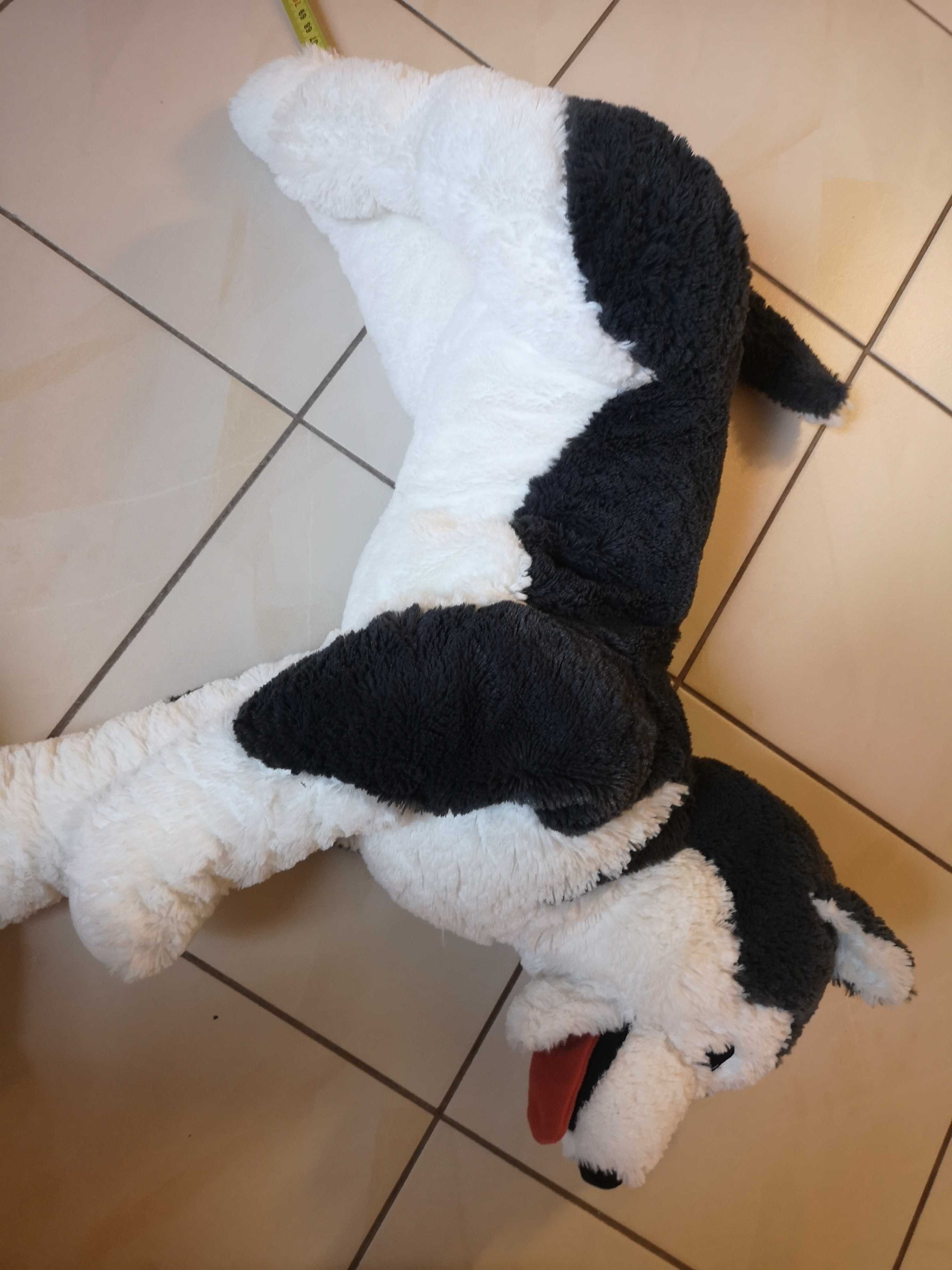 Wilk wilczek husky pluszak Ikea jak nowy jak żywy duży ok 65 cm miękki