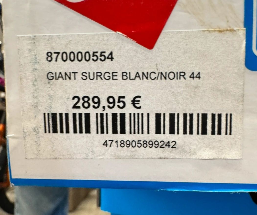 Sapatos de estrada brancos Giant