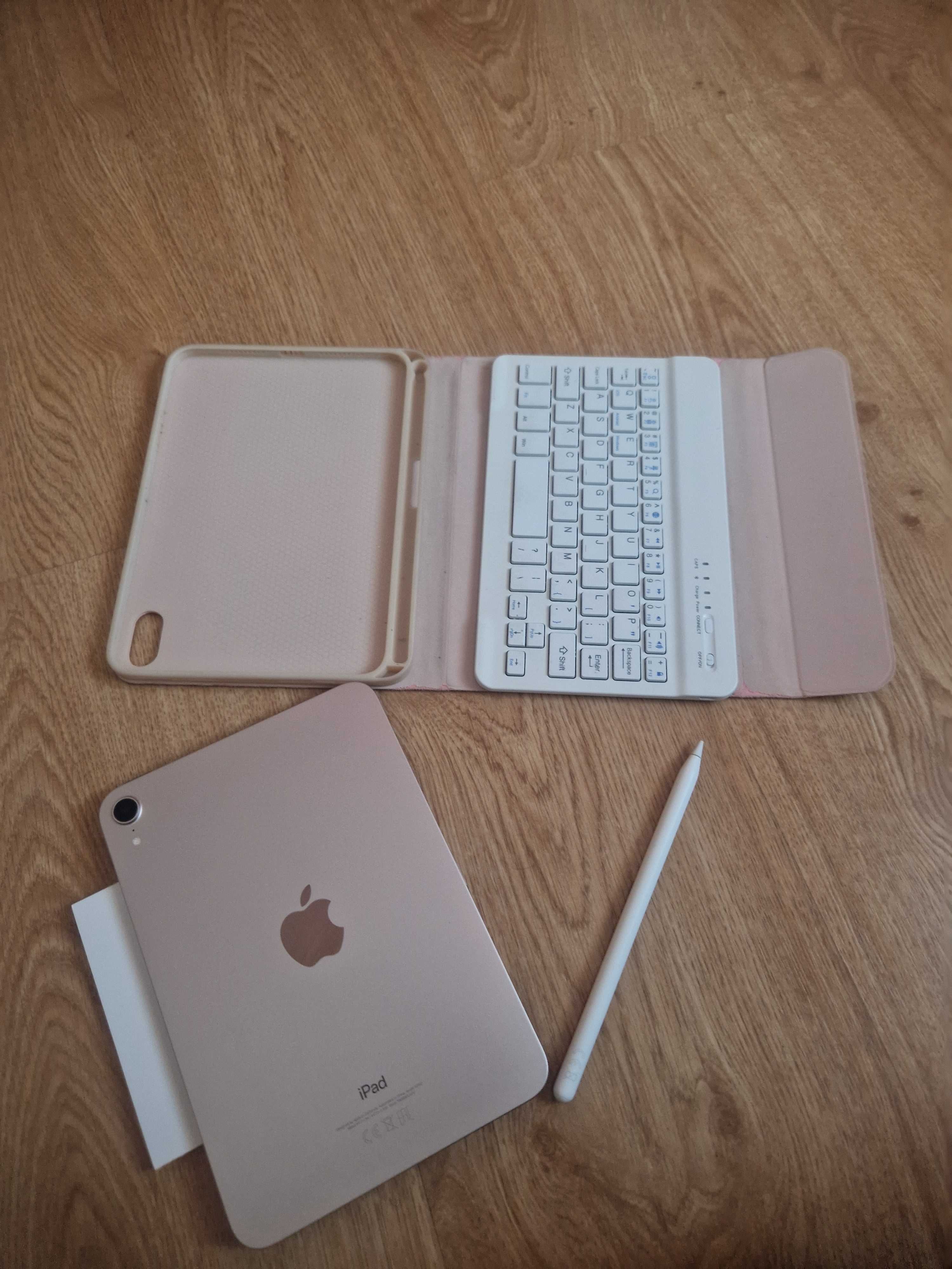 iPad mini 6th generation 256GB