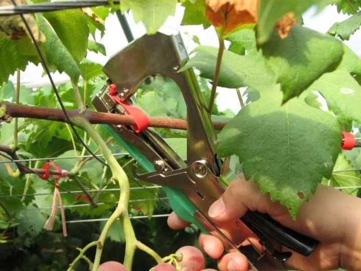 Zszywacz ogrodowy do roślin krzewów tapener taśma SEN5362