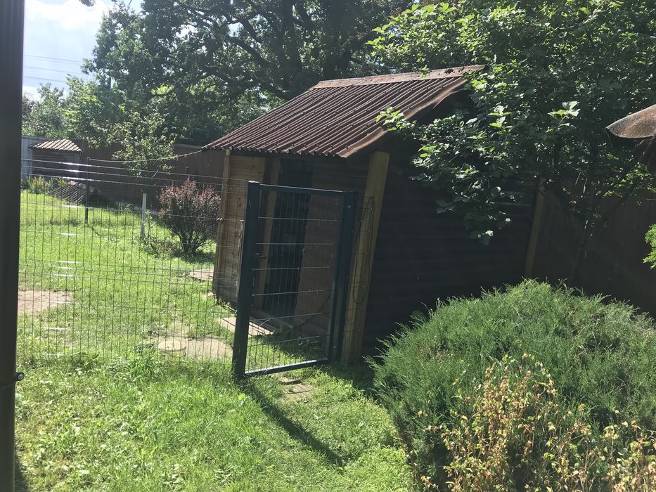 Продам будинок в Киівській області