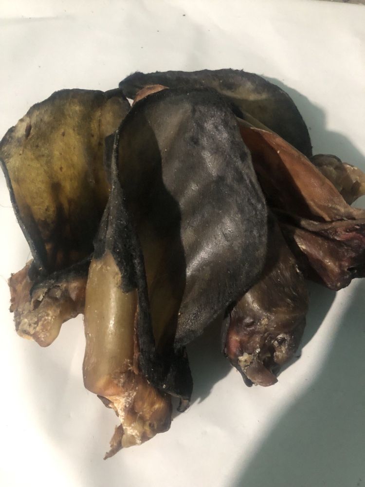 Лакомства для собак