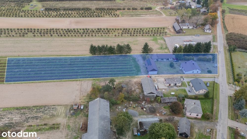 Siedlisko z domem i zabudowaniami gospodarczymi