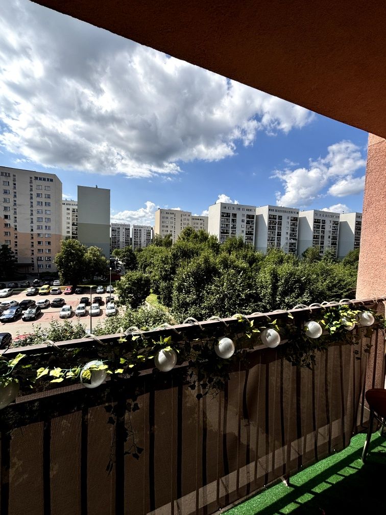 Wynajmę mieszkanie 50 mkw  Rybnik ul.Wandy