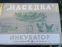 Інкубатор