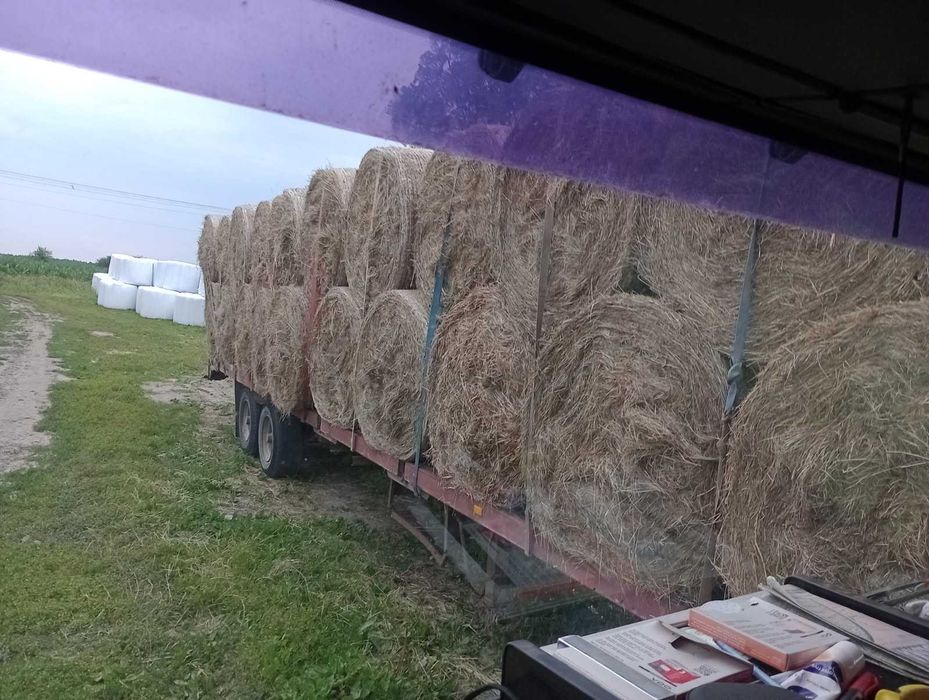 Siano bele 130 suche i sianokiszonka  2025r