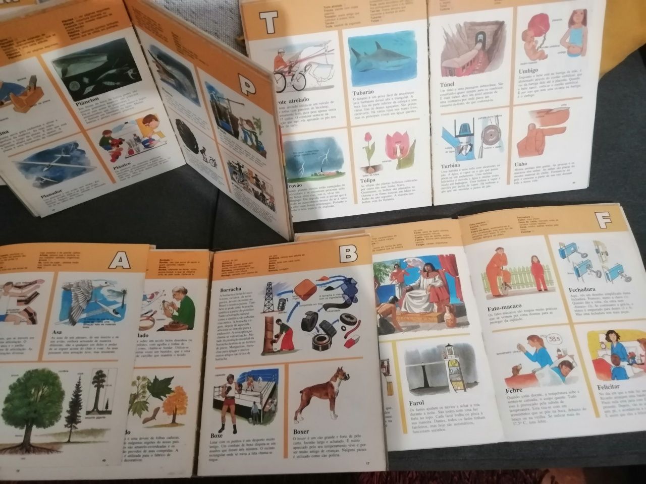 Enciclopédia infantil composto por sei livros