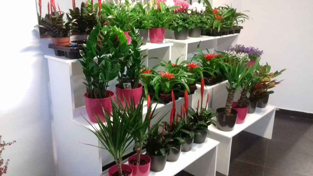 Schody drewniane kwietnik wyposażenie kwiaciarni dekoracja domu