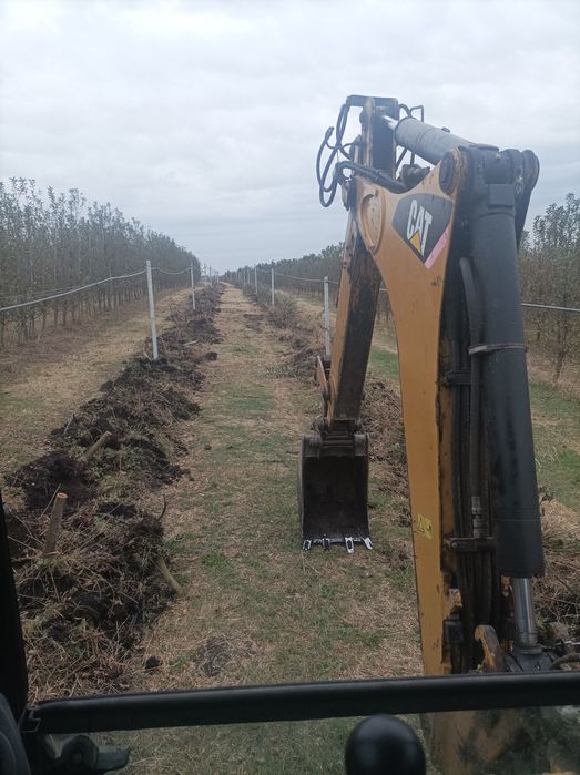 Корчевание деревьев