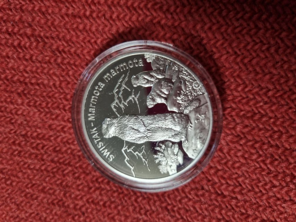 Srebrna moneta 20zł Świstak