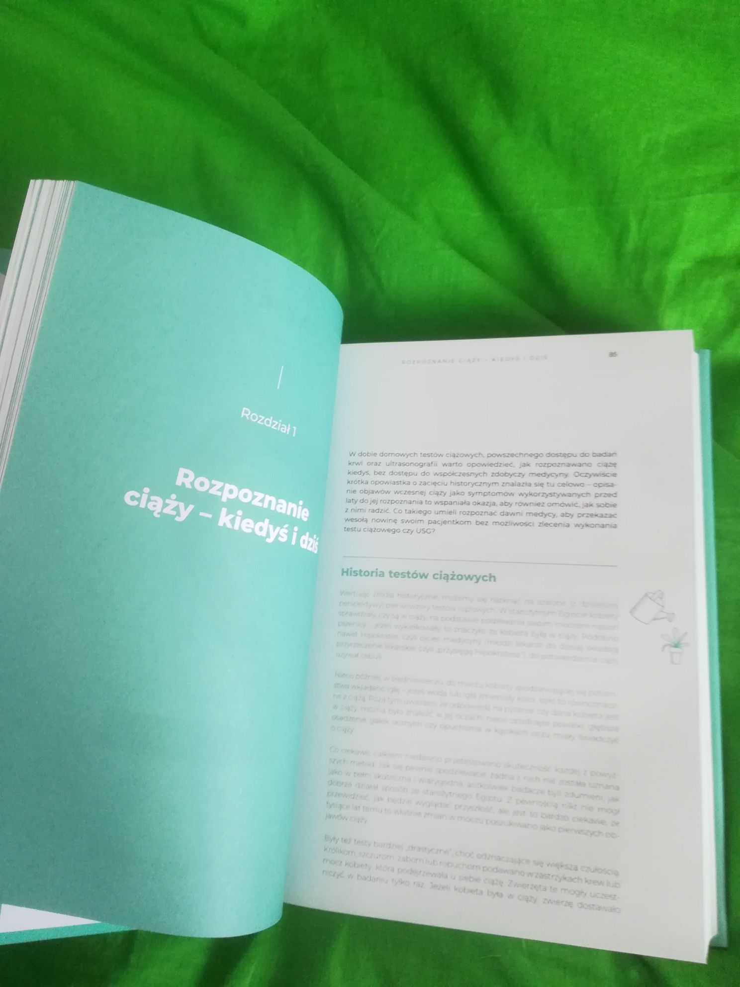 Książka o ciąży Lipa, Wójcicka. Okazja.