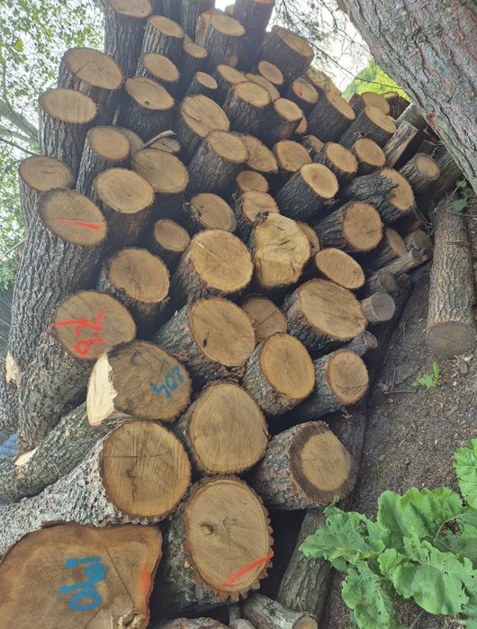 Drewno opałowe metry,stosy.Dąb grab brzoza olcha czereśnia jawor sosna