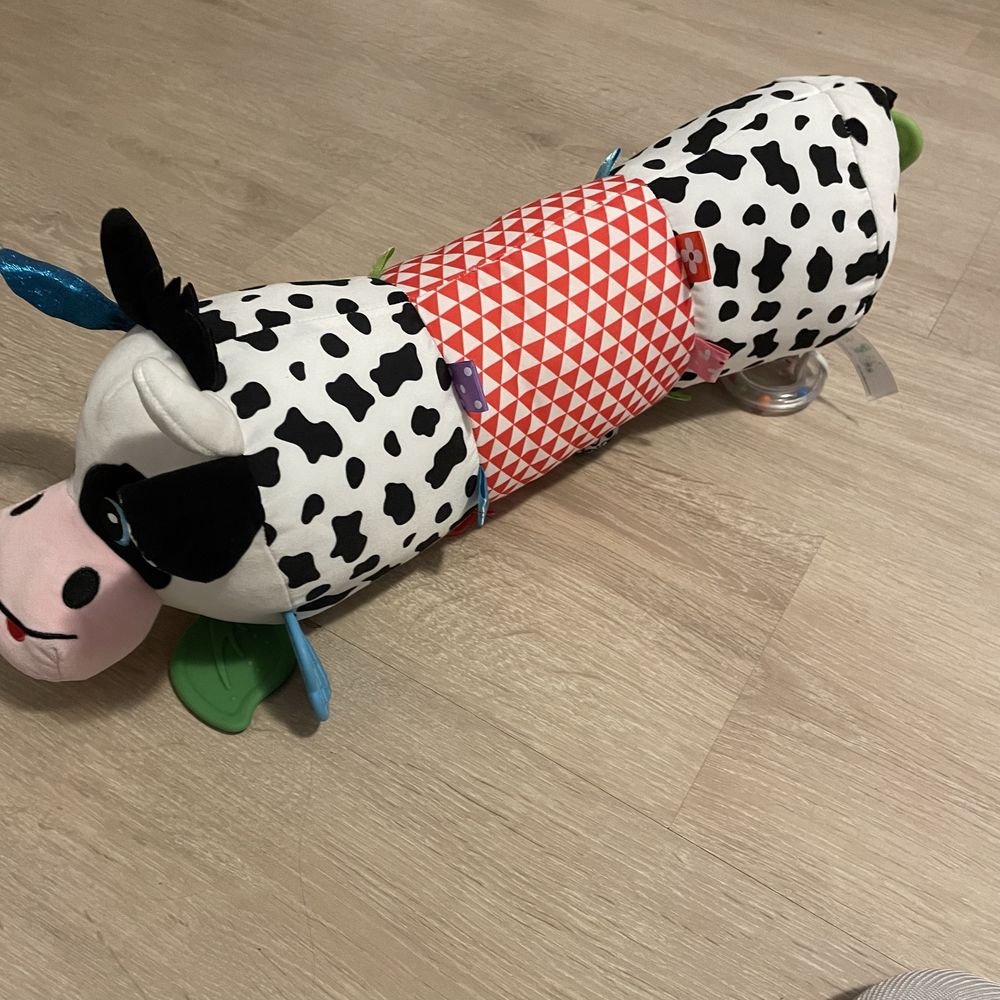 Krowa BaliBazoo kontrastowa