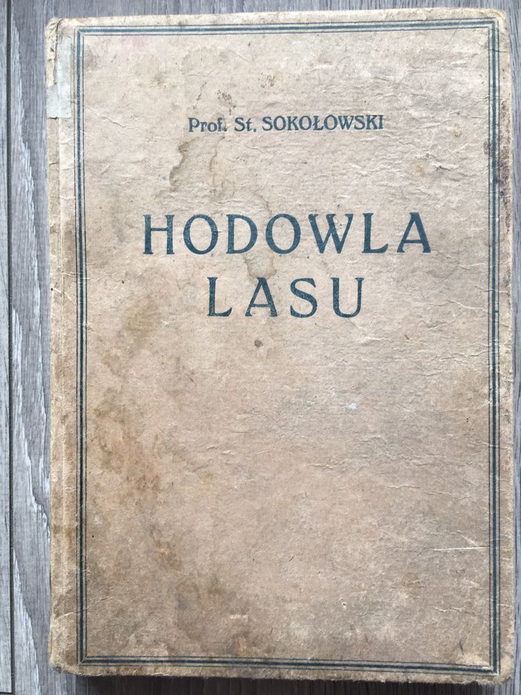 Hodowla lasu Sokołowski Lwów 1921 leśnictwo