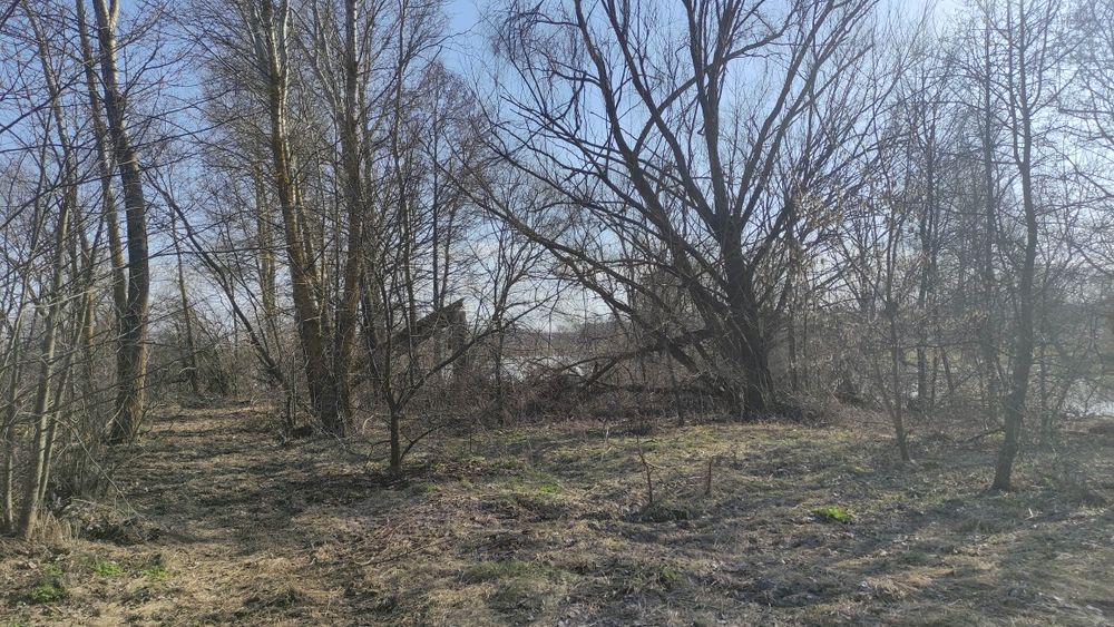 Земельна ділянка с. Гориця v.Gorica Chernihiv district