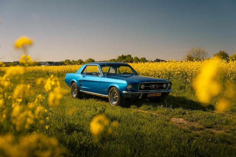 Ford Mustang Ford Mustang 1967 4,7 V8 coupe (stan kolekcjonerski)
