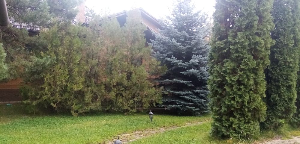 Сдам дом в безопасном тихом месте.поселок Артюховка Змеевского р. 2 эт