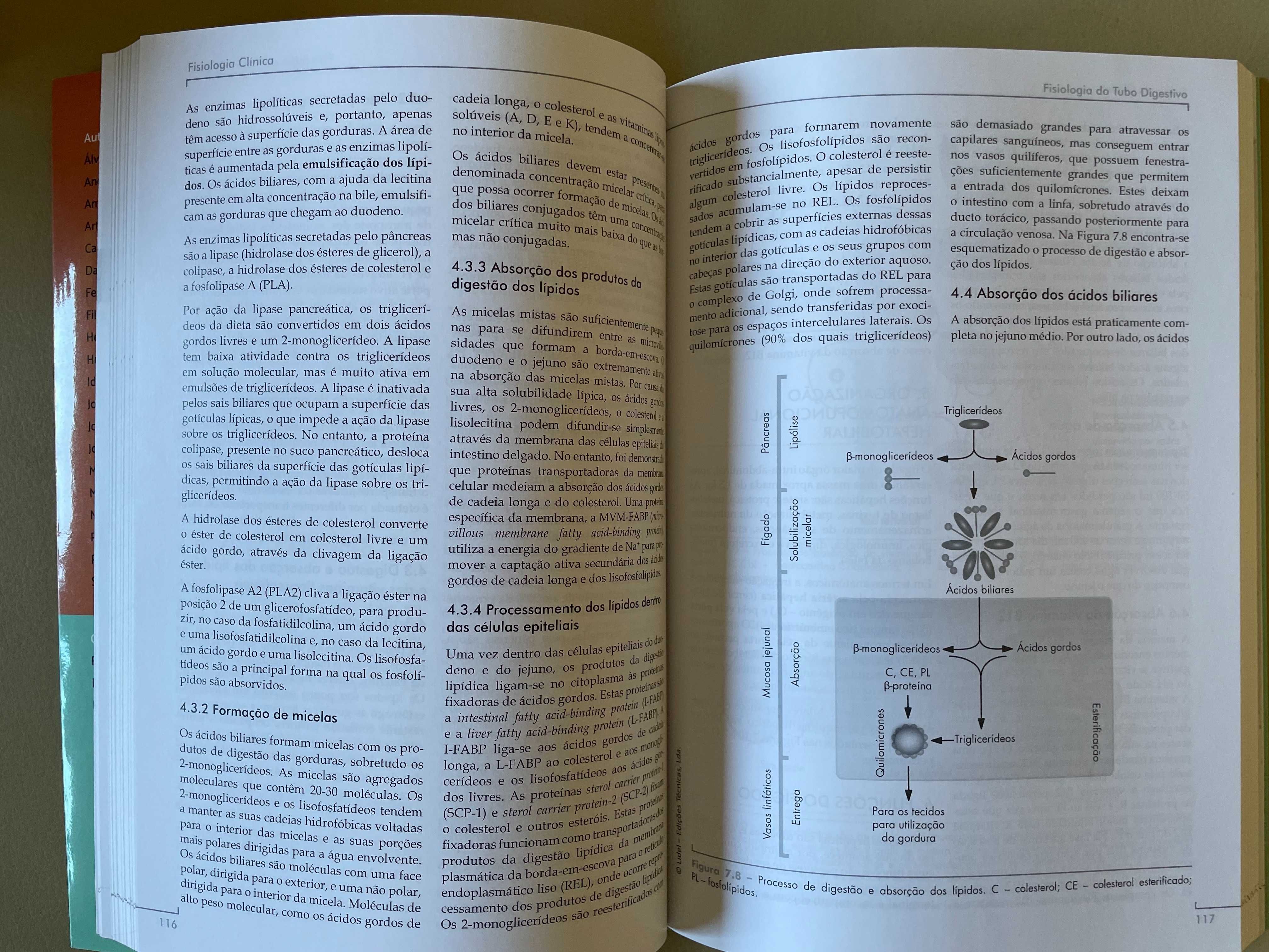 Livro de Fisiologia Clínica Lidel 1ª Edição